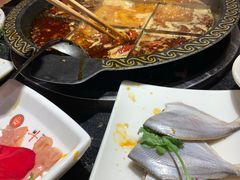 -一斗火锅·招财羊毛肚(泰吉滨江店)