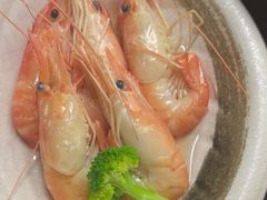 -黑松白鹿(金融街店)