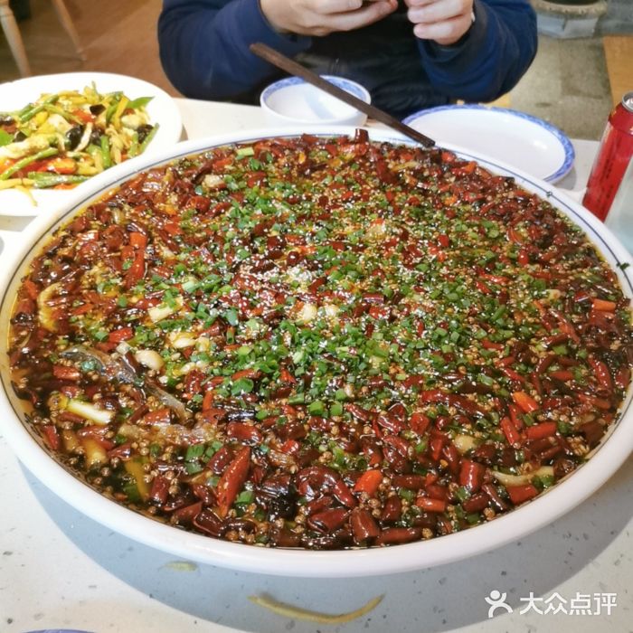 屋李有璧山兔来凤鱼(华阳店)来凤鱼图片