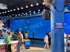 -烟台海昌鲸鲨海洋公园