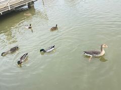 -西安浐灞国家湿地公园