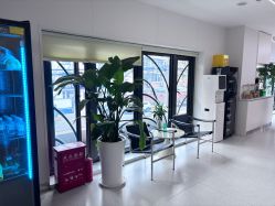 -魔型社烫染店