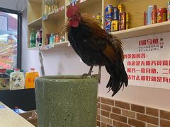 -重庆何乌鱼(南湖逸家店)