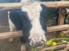 -海兰云天度假区温泉