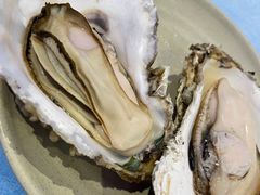 -千岛蚝高压锅生蚝·人参火锅(白云万达店)