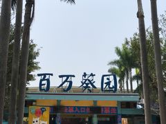 -百万葵园