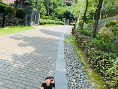 -广州从化都喜泰丽度假温泉酒店