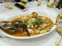 -煲来饱去冷水鱼