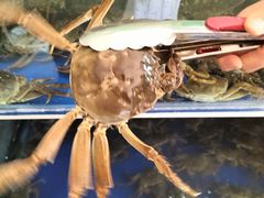-阳澄湖大闸蟹·琼灵阁牌品牌连锁(吴中总店)