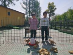 -前小桔亲子创意农场·草莓采摘·露营烧烤