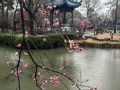 -无锡梅园公园