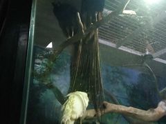 -福州罗源湾海洋世界旅游区