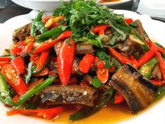 -飞虹鱼馆(春华路店)