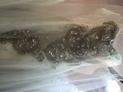 喜喜婚纱礼服定制工厂店(清河三街店)-喜喜婚纱HAPPINESS STUDIO奢定馆(海淀体验馆)