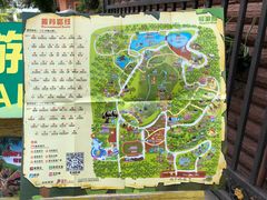 游乐设施-深圳野生动物园
