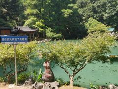-灵栖洞天