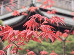 -龙华寺