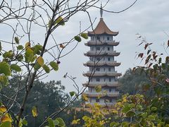 -白云山风景名胜区