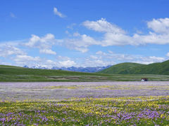 -墨石公园景区