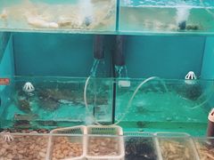 水产区-小时候焗海鲜(鄞州万达店)