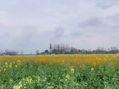 -中国天府农业博览园