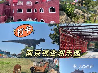 五年前的跨年夜去的银杏湖，大冬天的被一个激流勇进就给