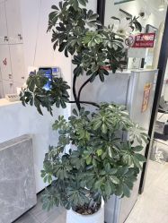 -LJOY丽锦造型·烫发染发