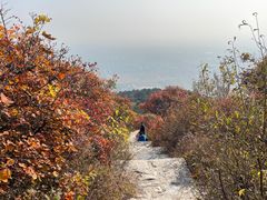 -北京西山国家森林公园