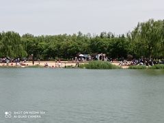 -大兴滨河森林公园