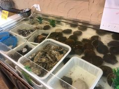 -札幌二条市场 大矶(本店)