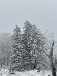 -大秃顶子山