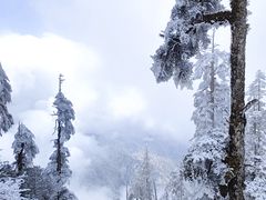 -瓦屋山景区