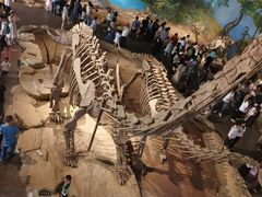 -自贡恐龙博物馆