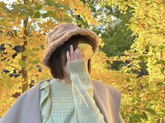-三里屯东五街银杏大道