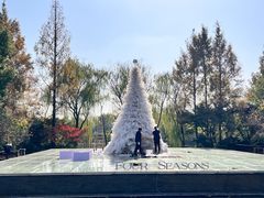 -杭州西子湖四季酒店-WL BISTRO西湖餐厅(灵隐路店)