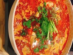 乌江豆腐鱼火锅-贵凤凰贵州米粉(五道口店)