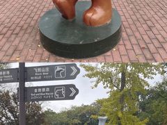 -上海野生动物园