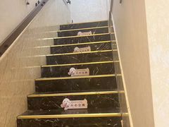 -宠爱国际动物医院·消化内科·心肾内科·ISFM猫友好(望京店)