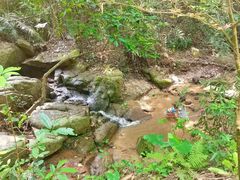 -火炉山森林公园