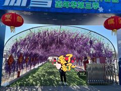 -绿野森林乐园冰雪季