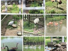 -上方山森林动物世界
