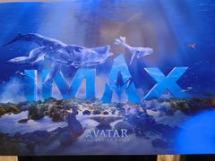 -金逸影城(光美江宁IMAX店)