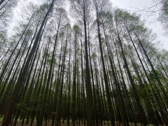 -山王坪喀斯特国家生态公园