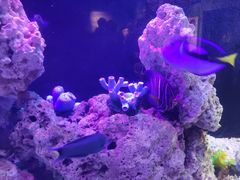 -海合安武汉极地海洋公园