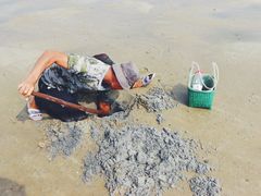 -北海金海湾红树林生态旅游区