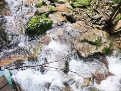 -本溪汤沟绿石谷森林公园