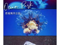 -香港海洋公园