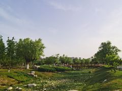 -汉长安城未央宫国家考古遗址公园