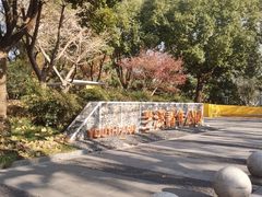 -兰溪青年公园