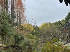 -上海醉白池公园